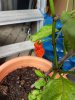 20170920_163254.jpg