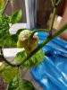 20170920_163301.jpg