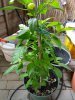 20170920_163314.jpg