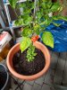 20170920_163324.jpg