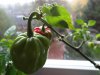 DSC01674.JPG