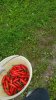 20170907_095945.jpg