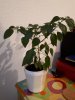 20171006_184426[3331].jpg