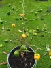 IMG_20171008_124348.jpg