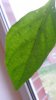 20171011_090325.jpg