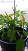 20171011_090421.jpg