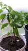 20171011_090443.jpg