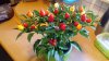 20171014_135234.jpg