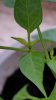 20171104_113512.jpg