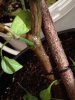 IMG_20171115_121029.jpg