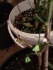 IMG_20171115_121015.jpg