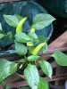 20170811_192725.JPG