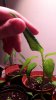 20180210_113017.jpg