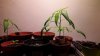 20180210_113037.jpg