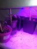 IMG_20180226_202736.jpg IMG_20180226_202736.jpg
