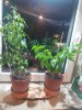 IMG_20180312_191818_718.jpg