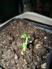 IMG_20180318_005201.jpg