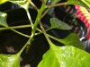 IMG_20180409_134014.jpg