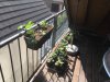 88FBDE05-7A8E-4BED-AAD5-B257E106ED72.jpeg