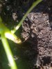 20180414_112309.jpg