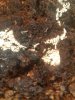 20180414_112250.jpg