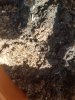 20180414_112236.jpg