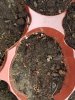 20180426_150734.jpg 20180426_150734.jpg