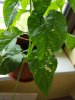 20180503_081317.jpg