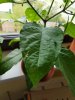 20180503_081330.jpg