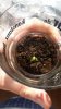20180507_084344.jpg