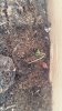 20180507_084239.jpg
