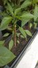 WP_20180513_005.jpg