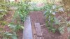 WP_20150716_20_55_42_Pro.jpg