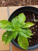 20180515_171637.jpg 20180515_171637.jpg