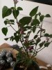 IMG_20180515_190730.jpg