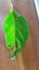 20180525_083548.jpg