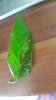 20180525_083554.jpg