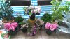 IMG-20180515-WA0013.jpg