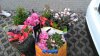 IMG-20180515-WA0010.jpg