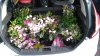 IMG-20180515-WA0012.jpg