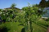 DSC04280.JPG
