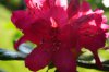 DSC04307.JPG