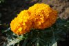 DSC04314.JPG