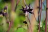 DSC04323.JPG