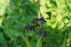 DSC04326.JPG