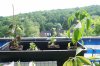 DSC04397.JPG