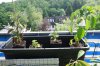 DSC04399.JPG