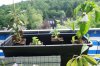 DSC04398.JPG