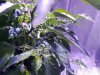 20180606_161827.jpg