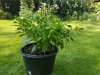 20180606_173250.jpg